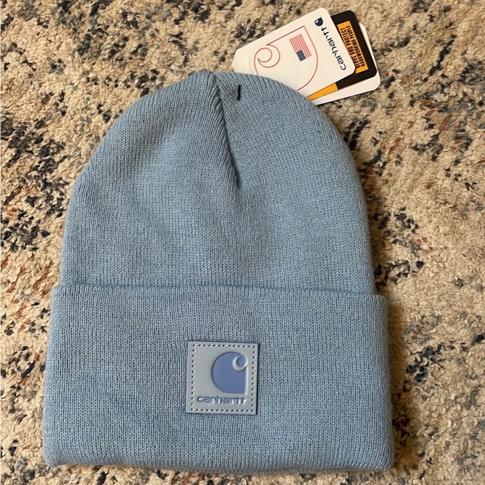 Alpine Blue Carhartt Beanie